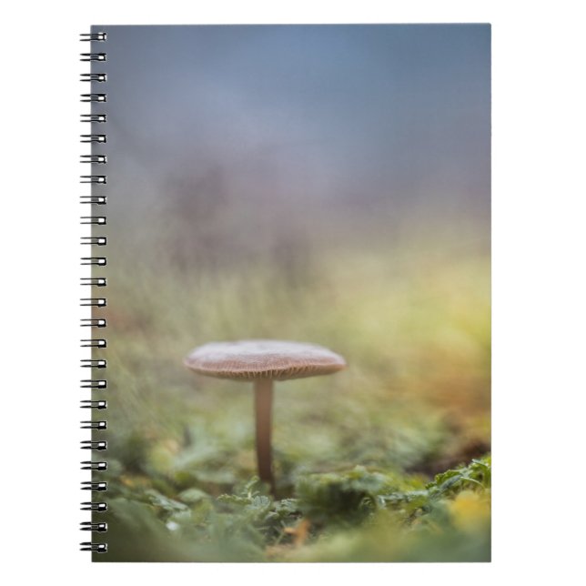 Tiny Mushroom Nature Photo Notebook (Front)