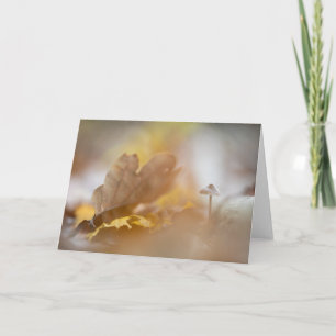 Tiny Mushroom Nature Photograph Card