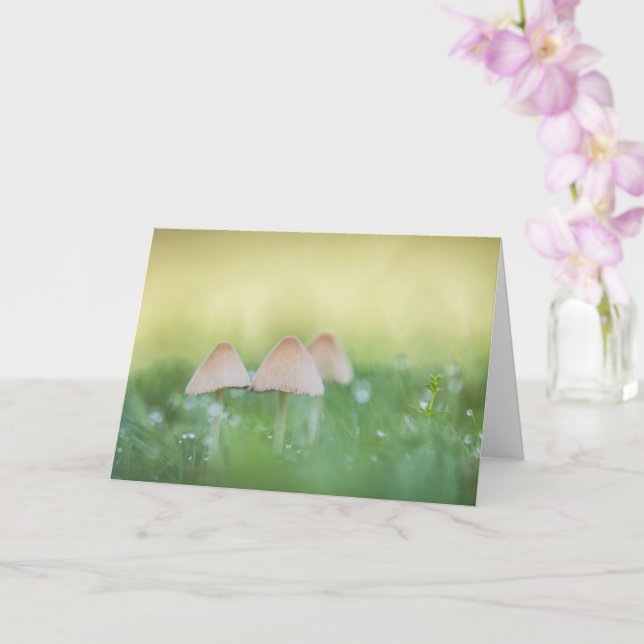 Tiny Mushrooms Nature Photo Card (Orchid)