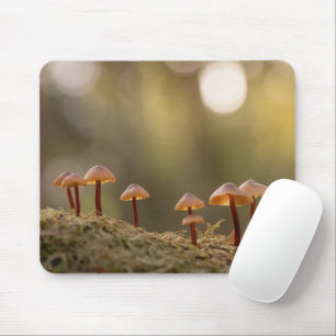 Tiny Mushrooms Nature Photo Mouse Pad