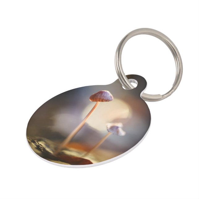 Tiny Mushrooms Nature Photo Pet Tag (Side)