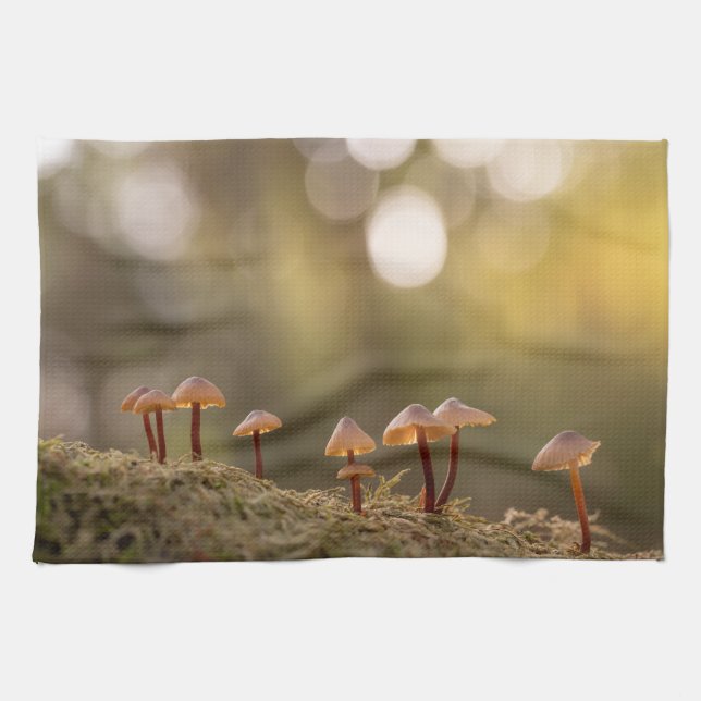 Tiny Mushrooms Nature Photo Tea Towel (Horizontal)