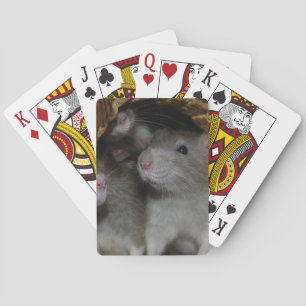 Tiny Noses Playing Cards