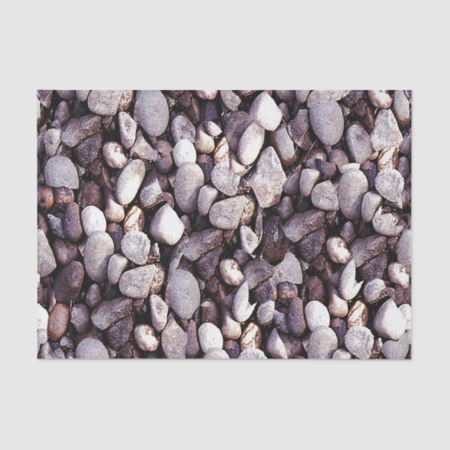 Tiny Pebbles Tissue Paper (Front)