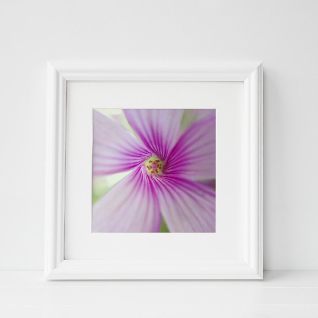 Tiny Pink Flower Photo Print (Creator Uploaded)