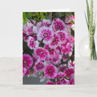 Tiny Pink Flowers Blank Notecard