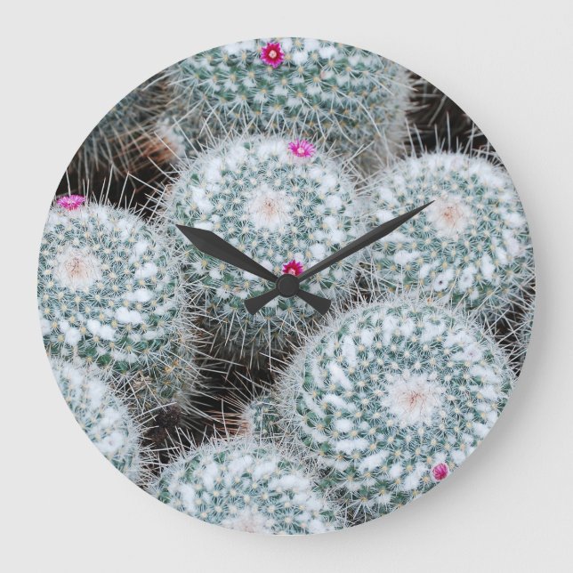 Tiny Pink Flowers Cactus Plants Large Clock (Front)