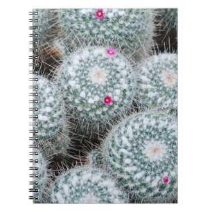 Tiny Pink Flowers Cactus Plants Notebook