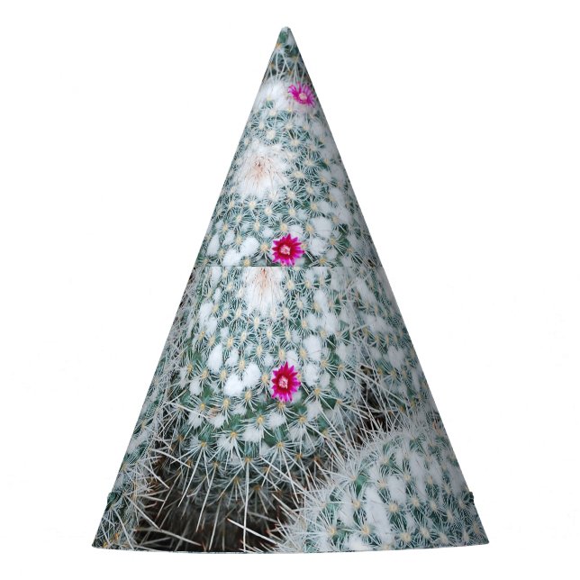 Tiny Pink Flowers Cactus Plants Party Hat (Front)
