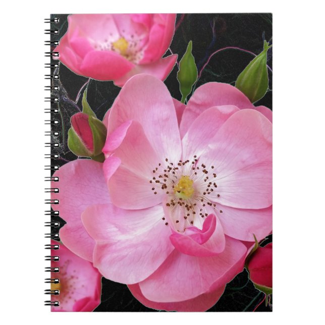 tiny rosebud opens spiral notebook (Front)