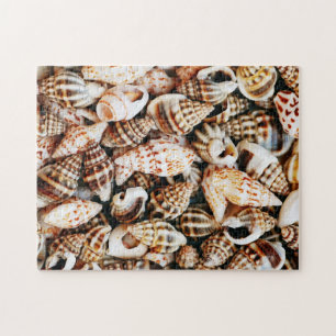 Tiny Seashells Jigsaw Puzzle
