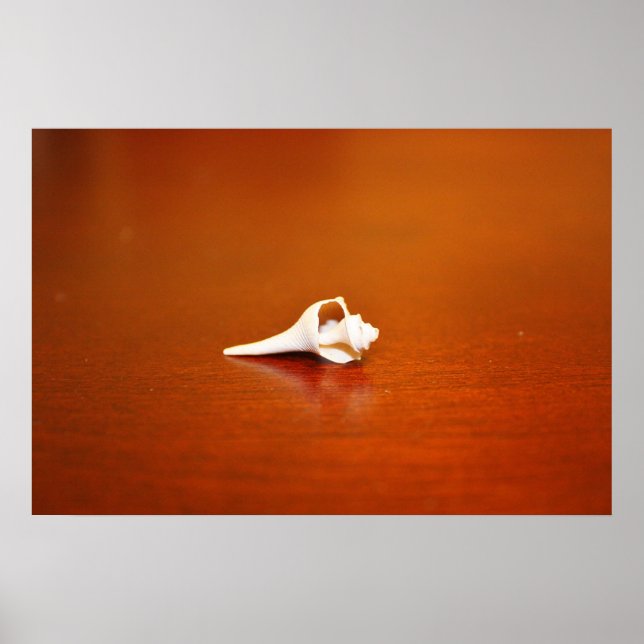 Tiny Shell Poster (Front)