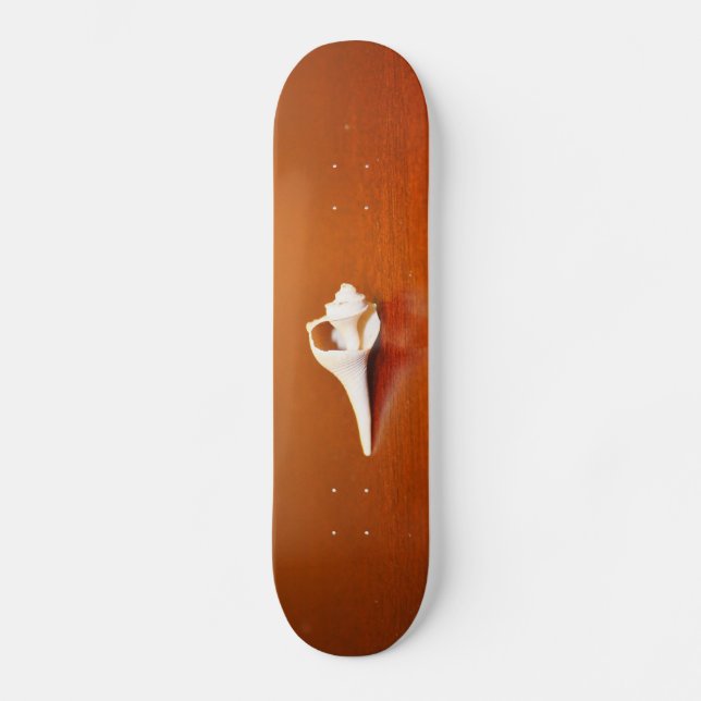 Tiny Shell Skateboard (Front)