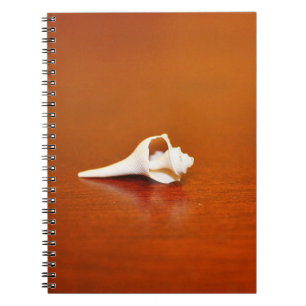 Tiny Shell Spiral Notebook
