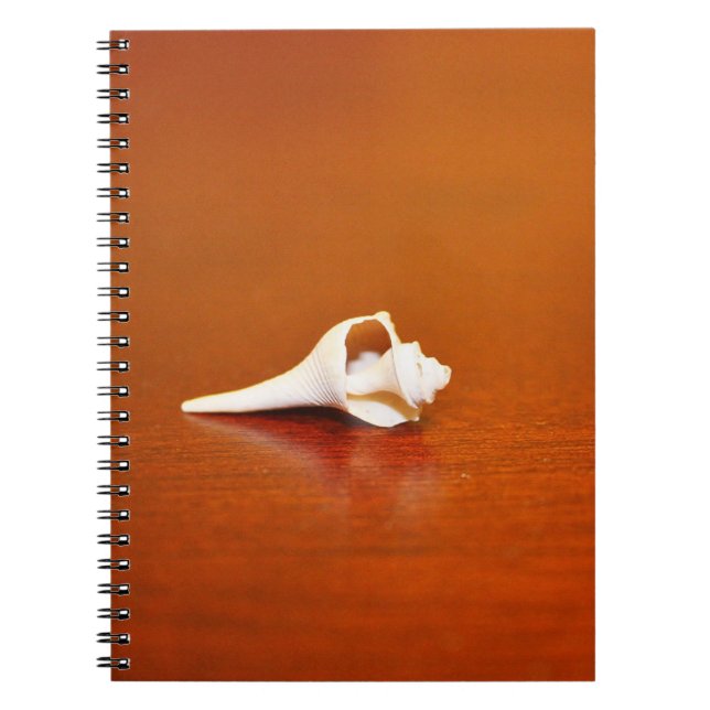 Tiny Shell Spiral Notebook (Front)