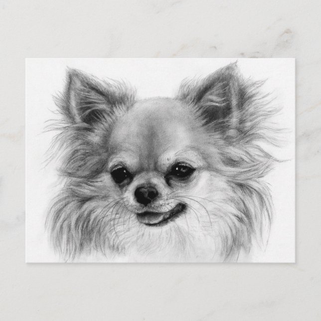 Tiny Smile - Hand Painted Chihuahua Art Postcard (Front)