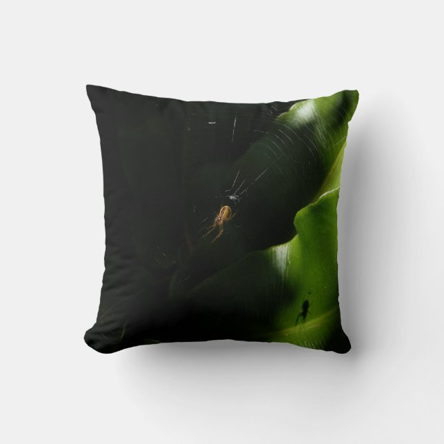 Tiny Spider Pillow (Front)