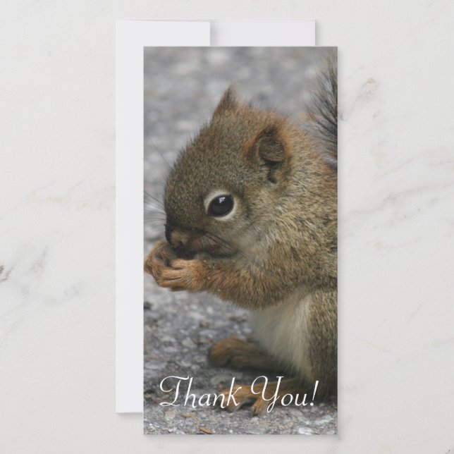 Tiny Squirrel Nibbles At Food In Paws Thank You Card (Front)