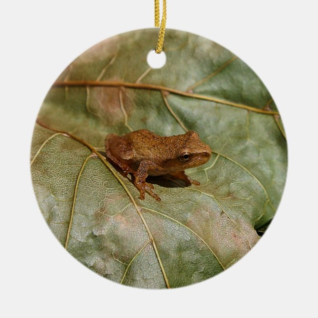 Tiny Toad Ceramic Tree Decoration (Front)