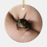 Tiny toad