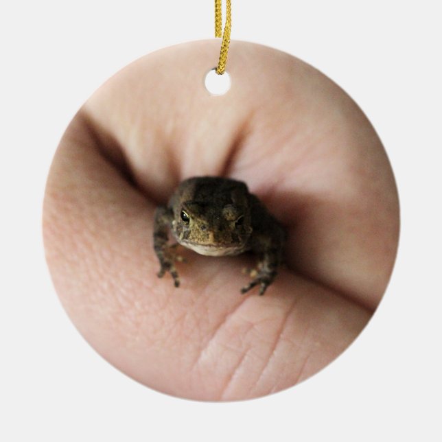 Tiny toad ceramic tree decoration (Front)