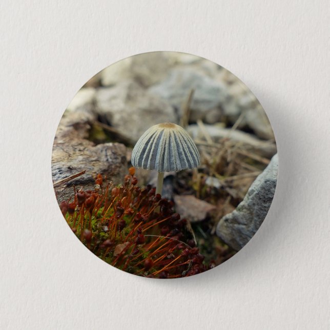Tiny Toadstool 6 Cm Round Badge (Front)