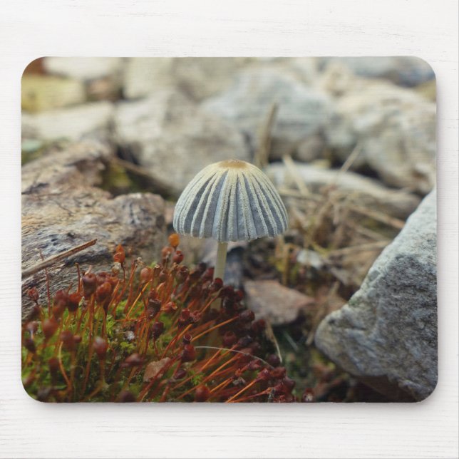 Tiny Toadstool Mouse Pad (Front)