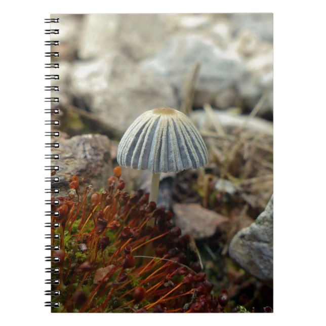 Tiny Toadstool Notebook (Front)