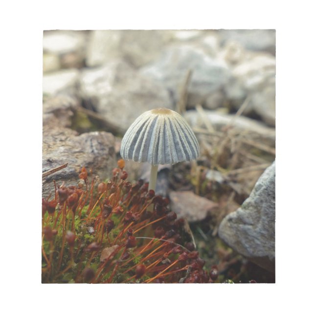 Tiny Toadstool Notepad (Front)