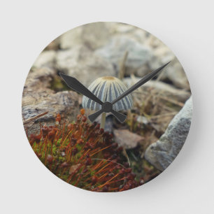 Tiny Toadstool Round Clock