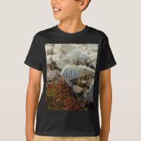 Tiny Toadstool