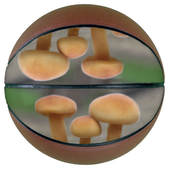 Tiny Toadstools Macro Basketballs (Front)