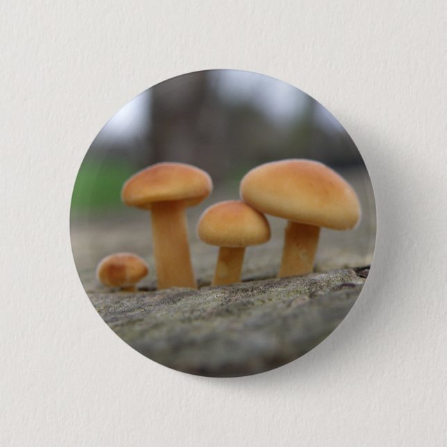Tiny Toadstools Macro Button (Front)