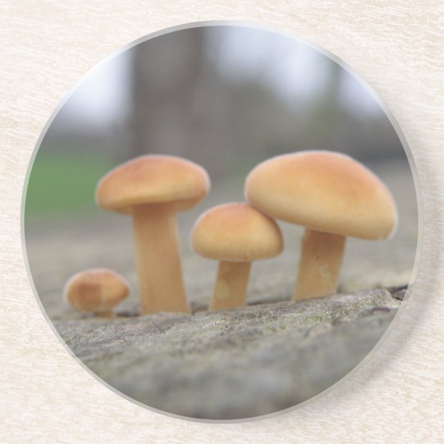 Tiny Toadstools Macro Coasters (Front)