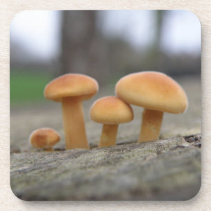 Tiny Toadstools Macro Cork Coaster