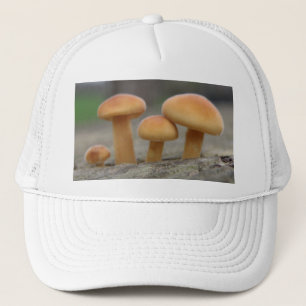 Tiny Toadstools Macro Hat