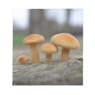 Tiny Toadstools Macro Notepad