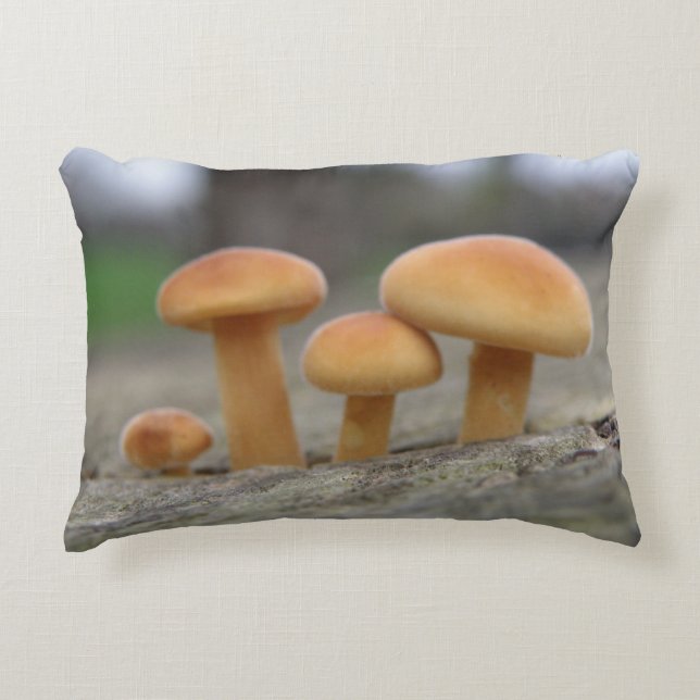 Tiny Toadstools Macro Pillow (Front)