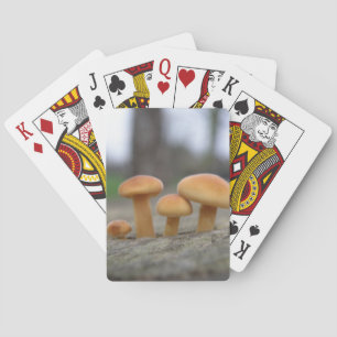 Tiny Toadstools macro Playing cards