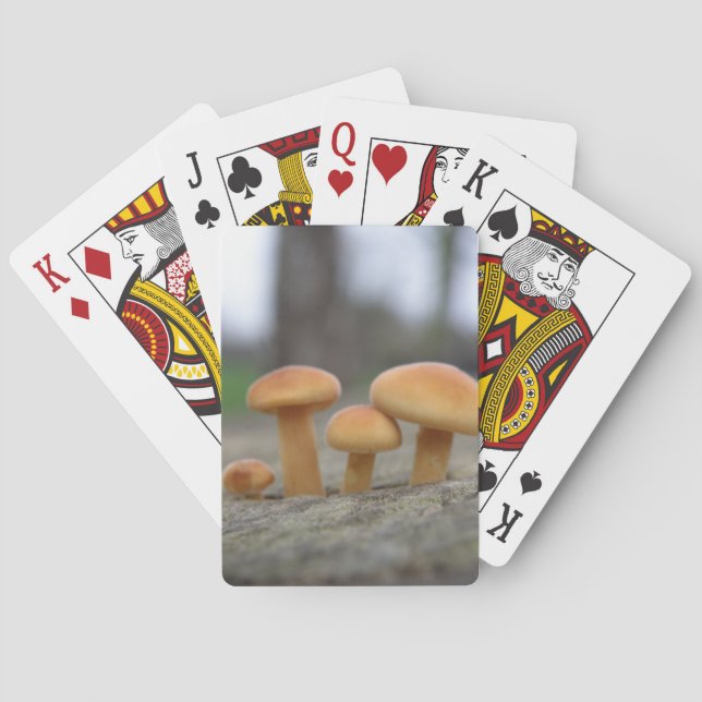 Tiny Toadstools macro Playing cards (Back)