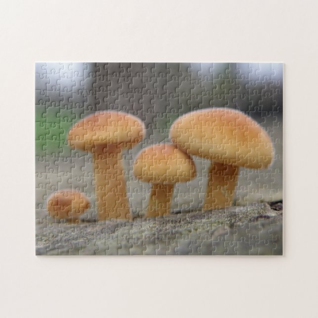 Tiny Toadstools Macro Puzzle (Horizontal)