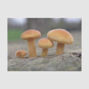Tiny Toadstools Macro Tissue Paper