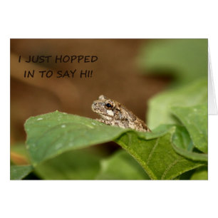 Tiny Tree Frog Hopping in to Say Hi