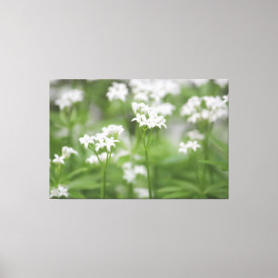 Tiny White Floral Canvas Print