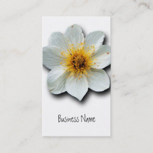 Tiny White Flowers Business Card