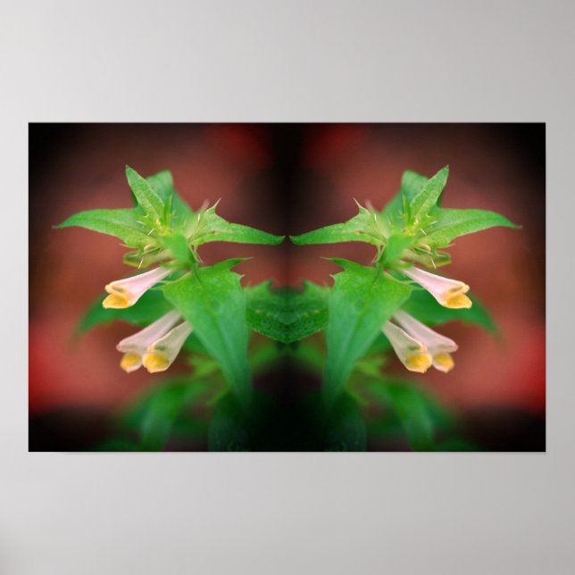 Tiny White Wildflower Close Up Mirror Abstract Poster (Front)