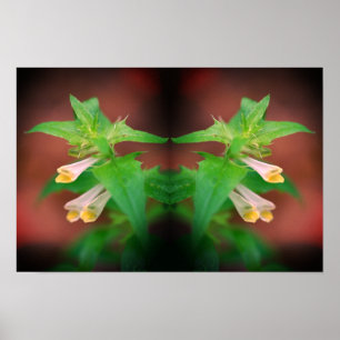Tiny White Wildflower Mirror Floral Nature Art Poster