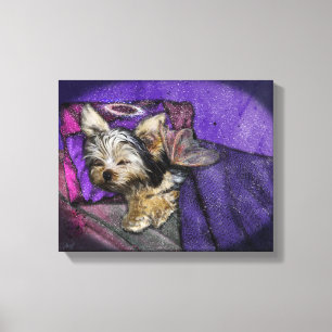 Tiny Yorkie Sleeping Angel Halo Memorial Art Canvas Print