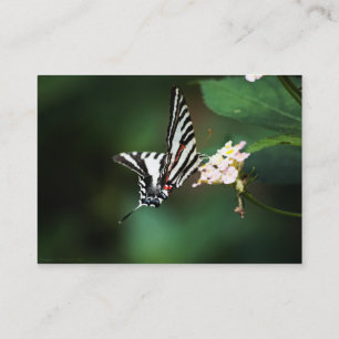 Tiny Zebra Mini Print Business Card