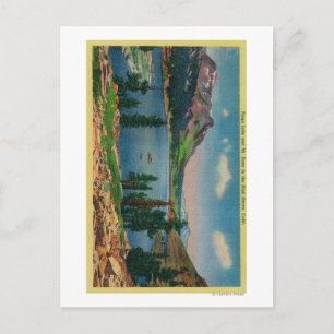 Tioga Lake and Mt. Dana in High Sierra Postcard